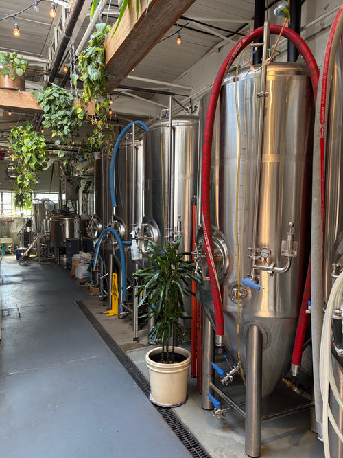 1hr Brewery Tour