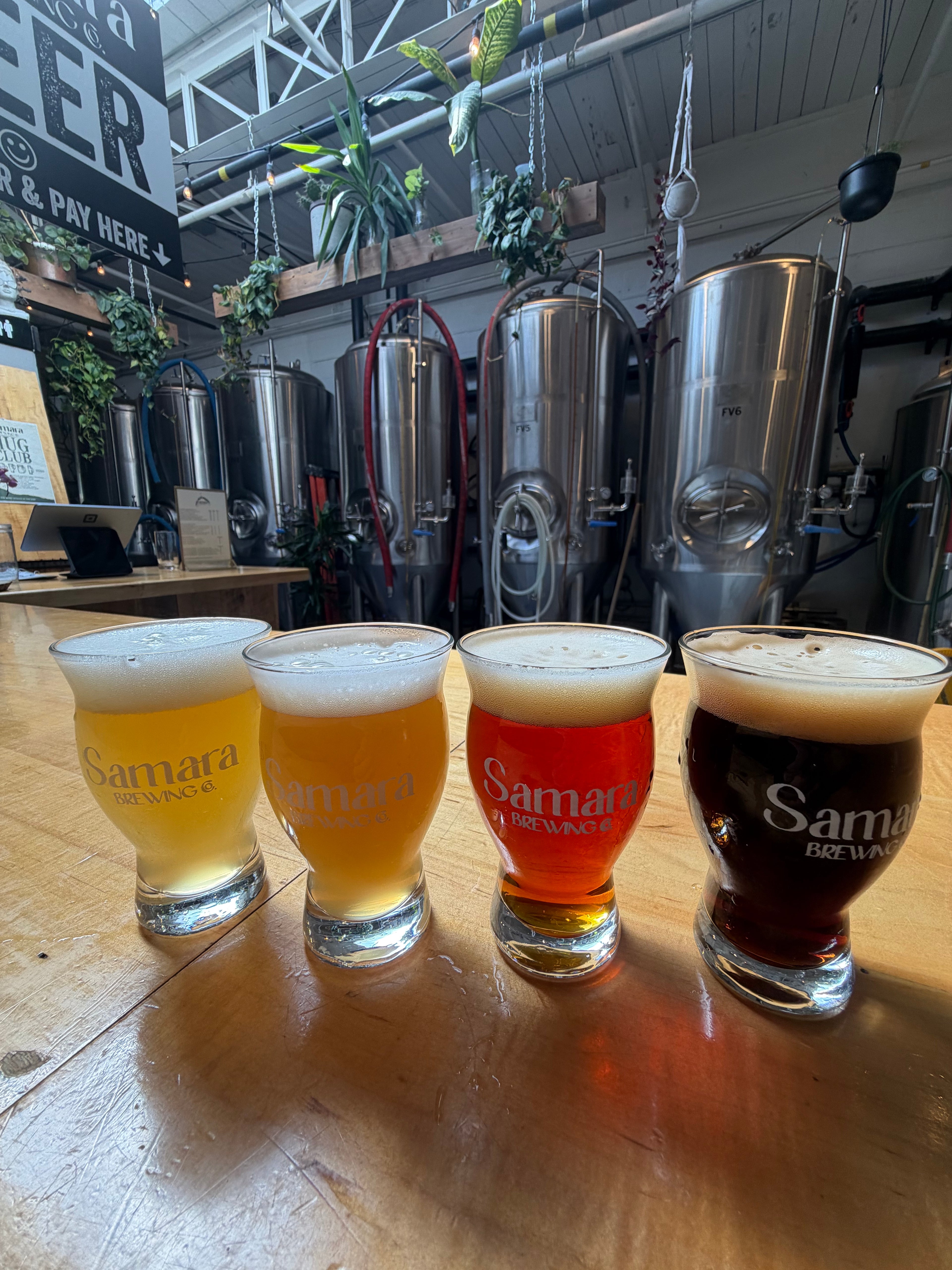 1hr Brewery Tour